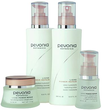 blog 29 - pavonia botanica 6