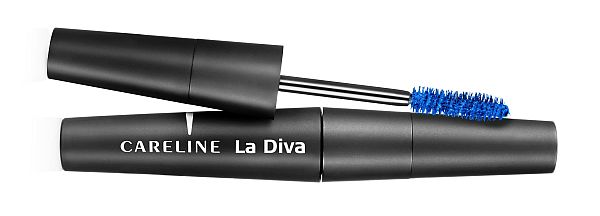 blog 51 - careline 1