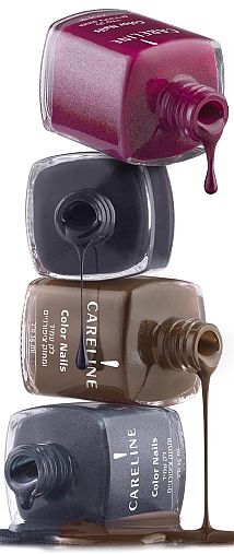 blog 51 - careline 3