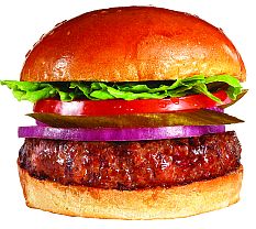 blog 71 - burger 2
