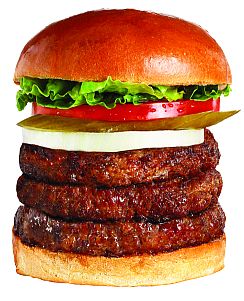 blog 71 - burger 3