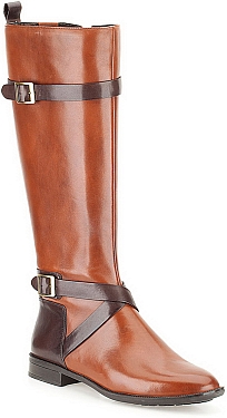 blog 86 - clarks 11