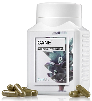 blog 88 - cane 1