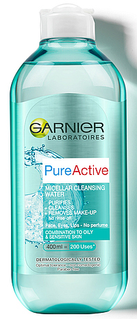 blog 105 - garnier 2