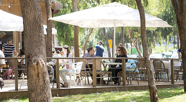 blog 113 - cafetapuz 2