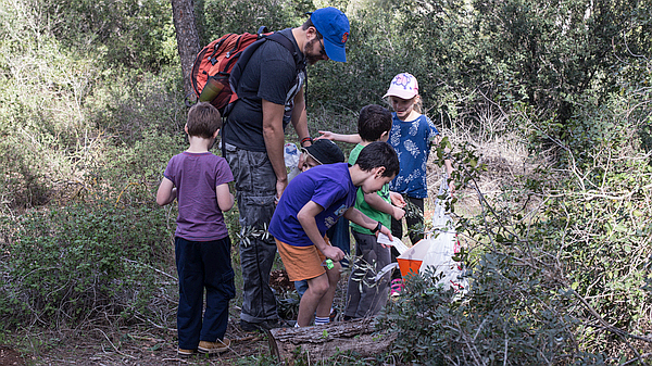 blog 116 - touryoav 4